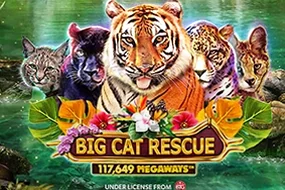 Big Cat Rescue Megaways