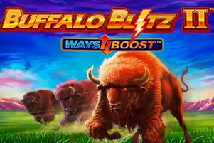 Buffalo Blitz 2