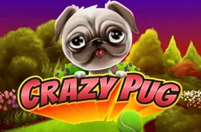Crazy Pug